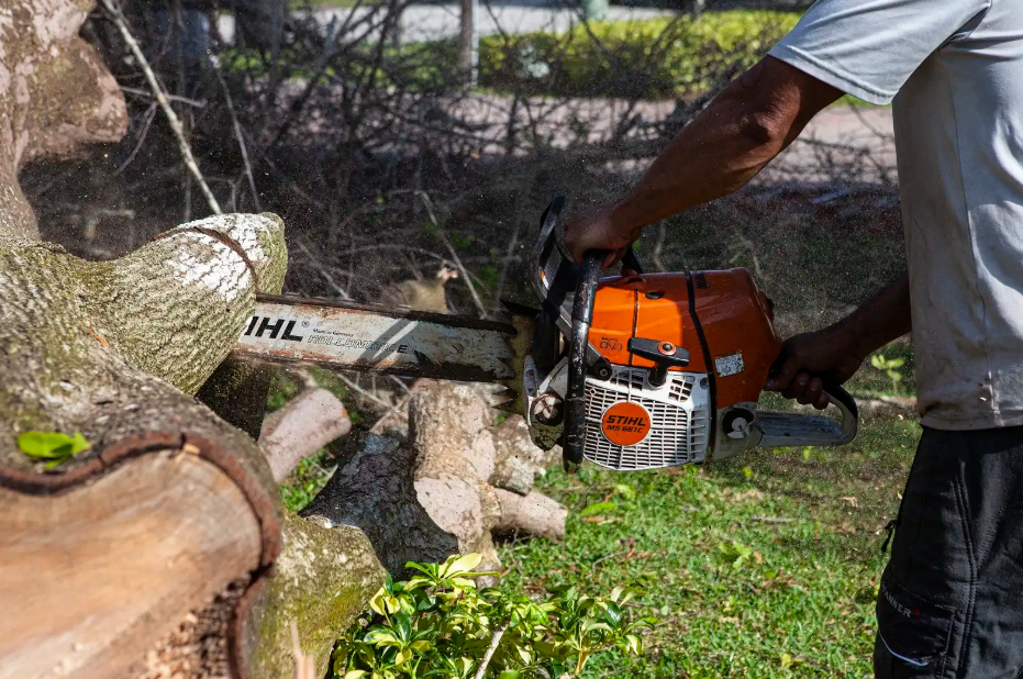 tree service company partnered with site clearing company, Wingard Land Service
