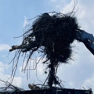 building demolition contractors bradenton