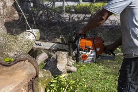 land clearing and excavation bradenton